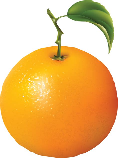 free clip art oranges|orange clip art free download.